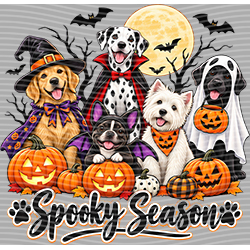 Halloween-WS 12424